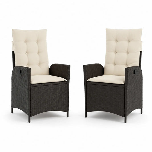 Ensemble de 2 chaises en résine tressée avec coussins